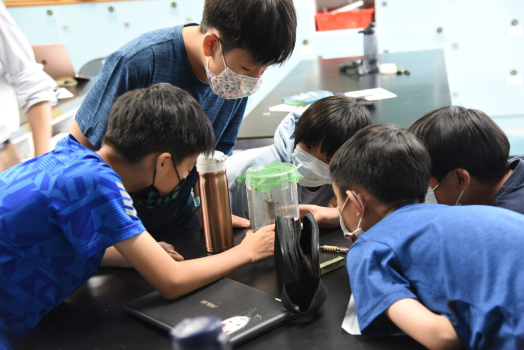 如果實驗教育一路走到高中，會有大學願意收他們嗎？圖片來源：BTS無界塾Facebook粉絲專頁。