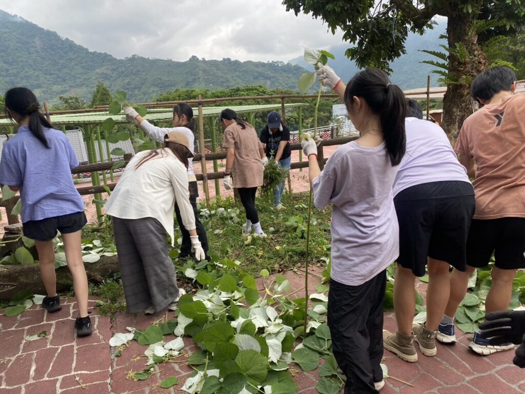 一塊布的起點,是從採摘苧麻開始,親手剝除葉片、整理莖幹,還得經過取纖、捻線、曝曬、漂白、染色等層層工序,最後才能得到一捆可上機編織的線材。圖片來源:臺北市無界塾實驗教育機構。