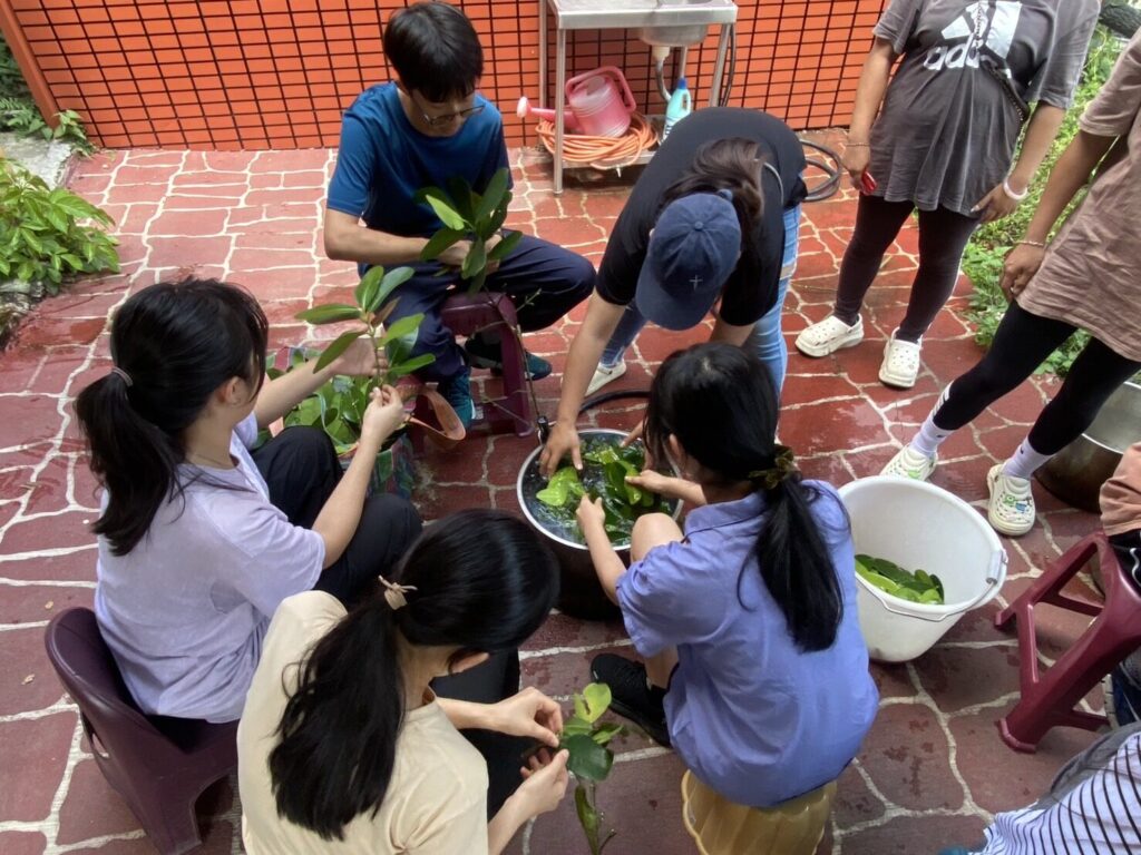 我們一大早從山裡採摘回許多福木葉,下午將葉子洗淨、去除雜質。圖片來源:臺北市無界塾實驗教育機構。